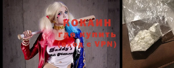 крисы Новодвинск