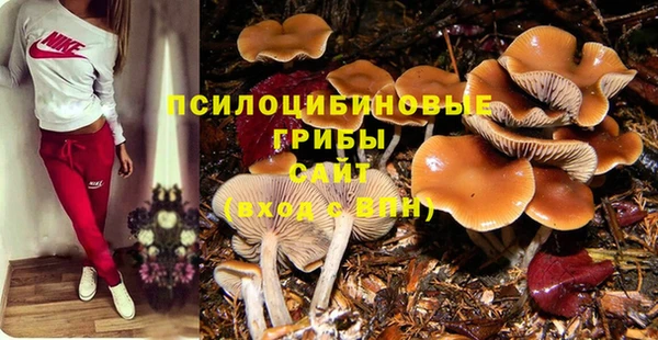 меф Няндома