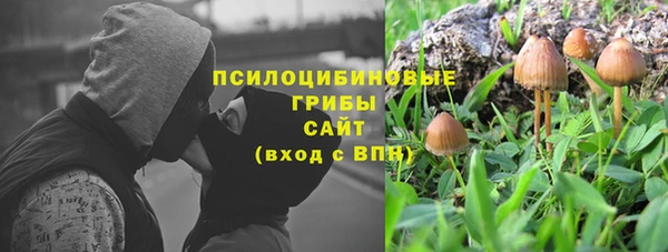 меф Няндома