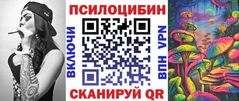 Псилоцибиновые грибы Cubensis  как найти наркотики  Суоярви 